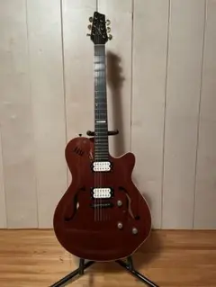 godin セミアコ　ゴダン　ギター　アコギ　dimarzio godin セミアコ ゴダン ギター アコギ dimarzio - メルカリ