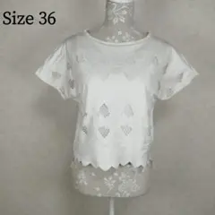 【美品】 アナイ 半袖 レース 切替 スカラップカットソー 36 アイボリー