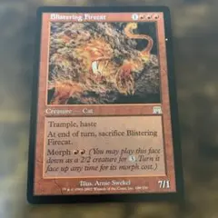 サインド オンスロート 焦熱の火猫 foil 英語 MTG 焦熱の火猫 日英 2枚セット - メルカリ