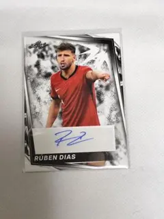 Item thumbnail for item 65d6f035-f9c4-4418-985c-ab0f5951c1c3