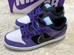 【激レア】ヘイリーウィルソン × ナイキ SB ダンク ロー プロ