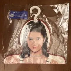 Item thumbnail for item b8c63074-7815-4c41-821c-ea092a0143d3