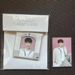 SEVENTEEN CARAT LAND ディノ アクリルフォトキーリング