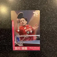 Item thumbnail for item e1ae3126-b78d-4899-b493-c1effdc72541