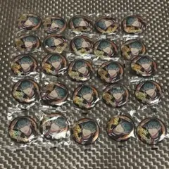 ヒプノシスマイク ヒプマイ 白膠木簓 カプセル缶バッジ