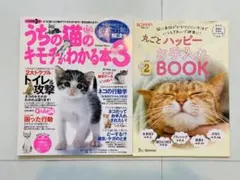 Item thumbnail for item f3078c10-6938-4136-8fc8-cdd40cddf466