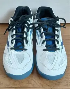 ミズノブレイクショット3 テニス インドア シューズ 25センチ