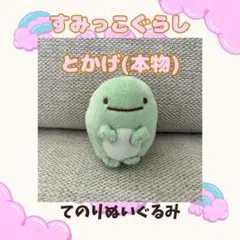 すみっコぐらし とかげ（本物） てのりぬいぐるみ