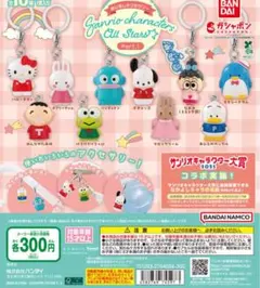 めじるしアクセサリー サンリオキャラクターズオールスターズ 全10種 ガチャ