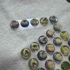 歯イルシール5つ