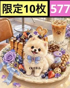 限定10枚！　レアパネル生地　無くなり次第終了です　6犬種