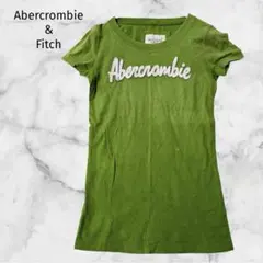 ＊Abercrombie & Fitch＊【F】 Tシャツ　アバクロ　アメカジ