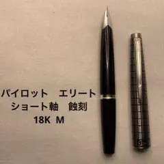 2025年最新】パイロット エリート シルバー 万年筆の人気
