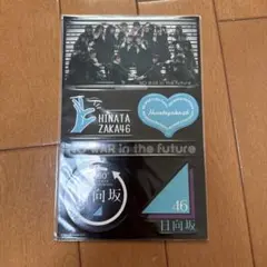 Item thumbnail for item 4fd3138b-6bc7-497d-bf2d-9f98261fb602