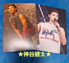 神谷健太　ポストカード　PRIMAL SPIDER プラスパ