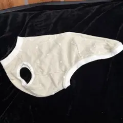 Item thumbnail for item ffec47e2-8c08-4a28-8ecf-c4777dfb2ab6