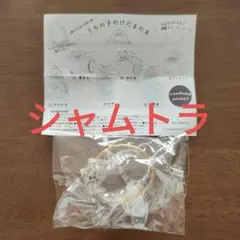 うちの子のけだまだま 第２弾　シャムトラ