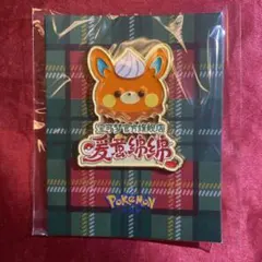 ポケットモンスター マグマ団ピンバッジ(レア) - メルカリ