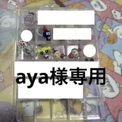 aya様専用 6点