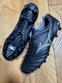 Item thumbnail for item 2468c96a-c7d7-486d-bb34-2e0108fcf7e4