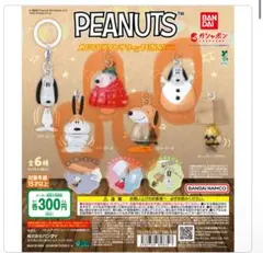 PEANUTS めじるしアクセサリー FUNNY Ver.