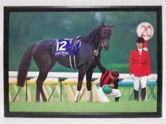 競馬 エイシンフラッシュ パネル 平成の名場面