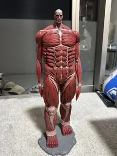 2026年最新】進撃の巨人 ラストワンの人気アイテム - メルカリ