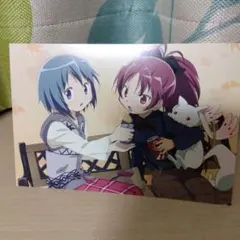 魔法少女まどか☆マギカ ポストカード 美樹さやか 佐倉杏子