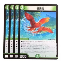 2026年最新】剥製 極楽鳥の人気アイテム - メルカリ