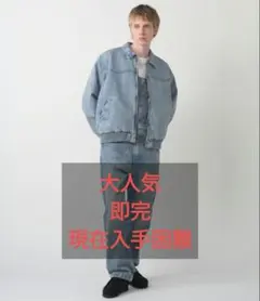 入手困難 levis work wear denimjacket サンタフェ型