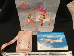 東京ディズニーランド 40周年 JAL パスケース