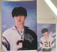 straykids リノ シーグリ 2025