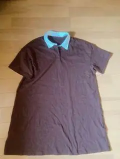 茶色ポロシャツ 水色の襟 半袖