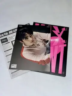 Stray Kids MAXIDENT CD+フォトブック