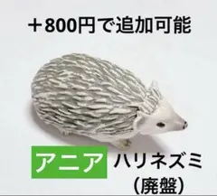 アニア　ハリネズミ　アニマルアドベンチャー　レア　動物　恐竜　水族館　フィギュア