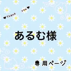 あるむ様☆専用ページ