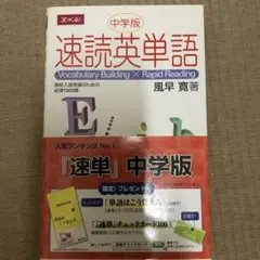 Item thumbnail for item f9a5df51-e8c8-4c64-87f9-7c5e108fd3e1