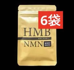 5袋☆ BODY MASTER ボディマスターHMB NMNダイエットサプリ