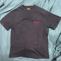 STÜSSY 黒 Tシャツ ロゴ入り