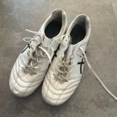 Item thumbnail for item 1cd17a13-e73f-4203-a8ad-854b2ed473a7