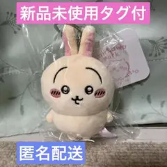 ちいかわパーク ミニマスコットキーリング うさぎ