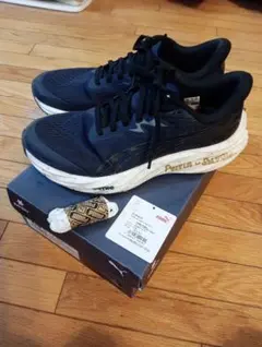 Item thumbnail for item 5fbda9a0-017a-493c-9be9-0b9f0841bccc