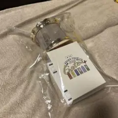 美少年 ペンライト Gates+ Arena Tour 2024