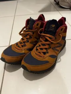 Item thumbnail for item e0505439-56e7-45ee-acec-ddaa41874723