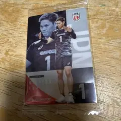 西田有志 バレーボール 日本代表 トレーディングカード