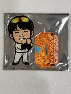 谷川原健太　若鷹ガチャ　秋季キャンプ　スーパーレア