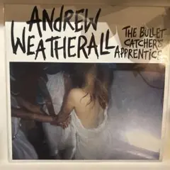 2026年最新】andrew weatherallの人気アイテム - メルカリ