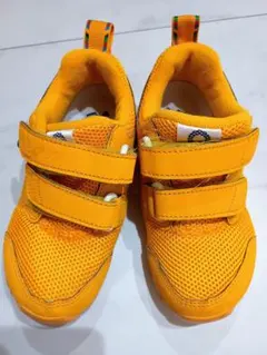 Item thumbnail for item 20445745-cc29-4a53-8d68-8ba04aa56e5e