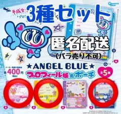 ANGEL BLUE プロフィール帳風ポーチ