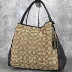 極美品 COACH コーチ ハンドバッグ トートバッグ シグネチャー 30220 